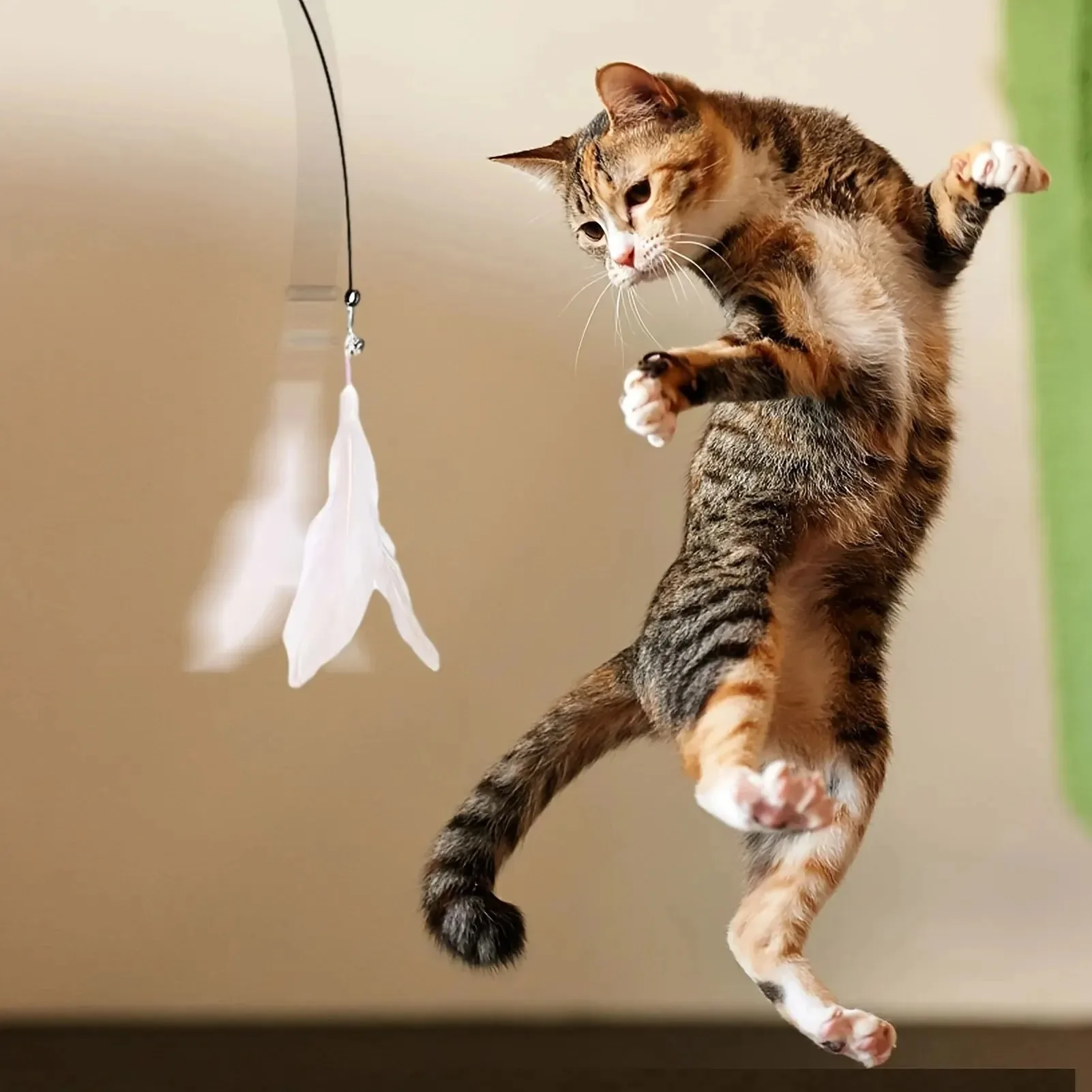 Cat teaser pole image