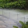 10-30M Outdoor Misting Cooling System 4/7PVC Garden Irrigation Watering Adjustable 1/4'' Brass Atomizer Nozzles Micro Sprinklers 4