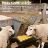 Wall Mounted Livestock Hay Rack for Farm Animals,Goats,Sheeps,Horses 2 in 1 Heavy-Duty Steel Hay & Grain/Salt Feeder Holder