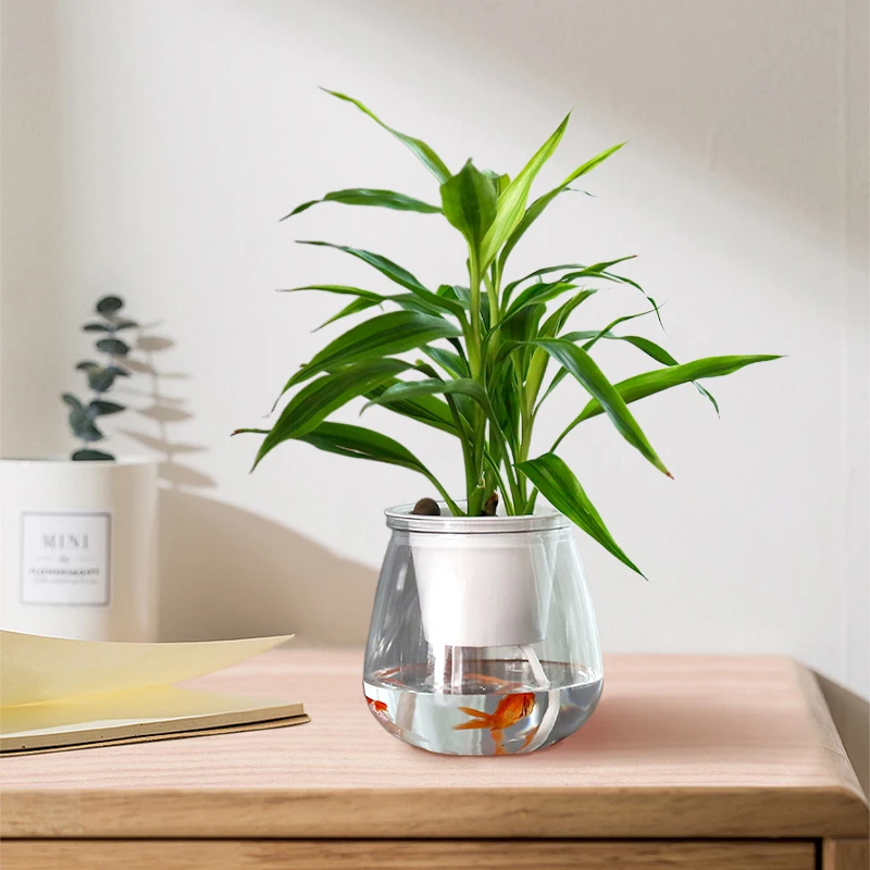   ȭ,  ̾ öƽ ȭ, ü  ,   ȭ, ̺ ȭ, Ȩ 