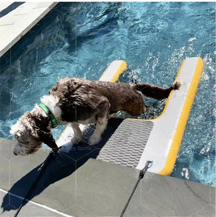 Rampa Inflável Para Cães - Escada Aquática Flutuante Para Piscina, Barco E Lago - Suporte Até 100kg
