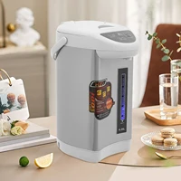 Chaudière et chauffe-eau électrique gris 4L avec trois Modes de sortie, chaudière à eau de comptoir et chauffe-eau pour le chauffage de l'eau Pure 2