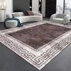 Nordic Modern High-end Living Room Carpet Luxury Grey Home Decoration Bedroom Large Area Rugs Elastic Washable Non-slip Door Mat 2