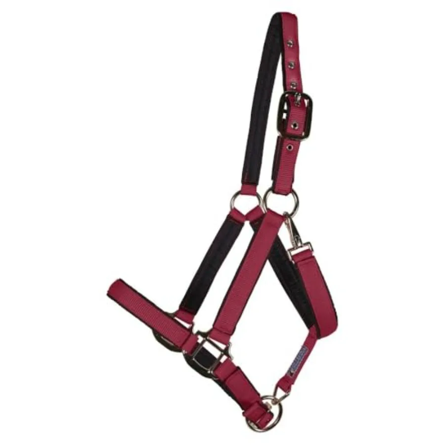 Horse halter for daily use nylon material black color fully padded to avoid rubs and adjustable crown and curb
