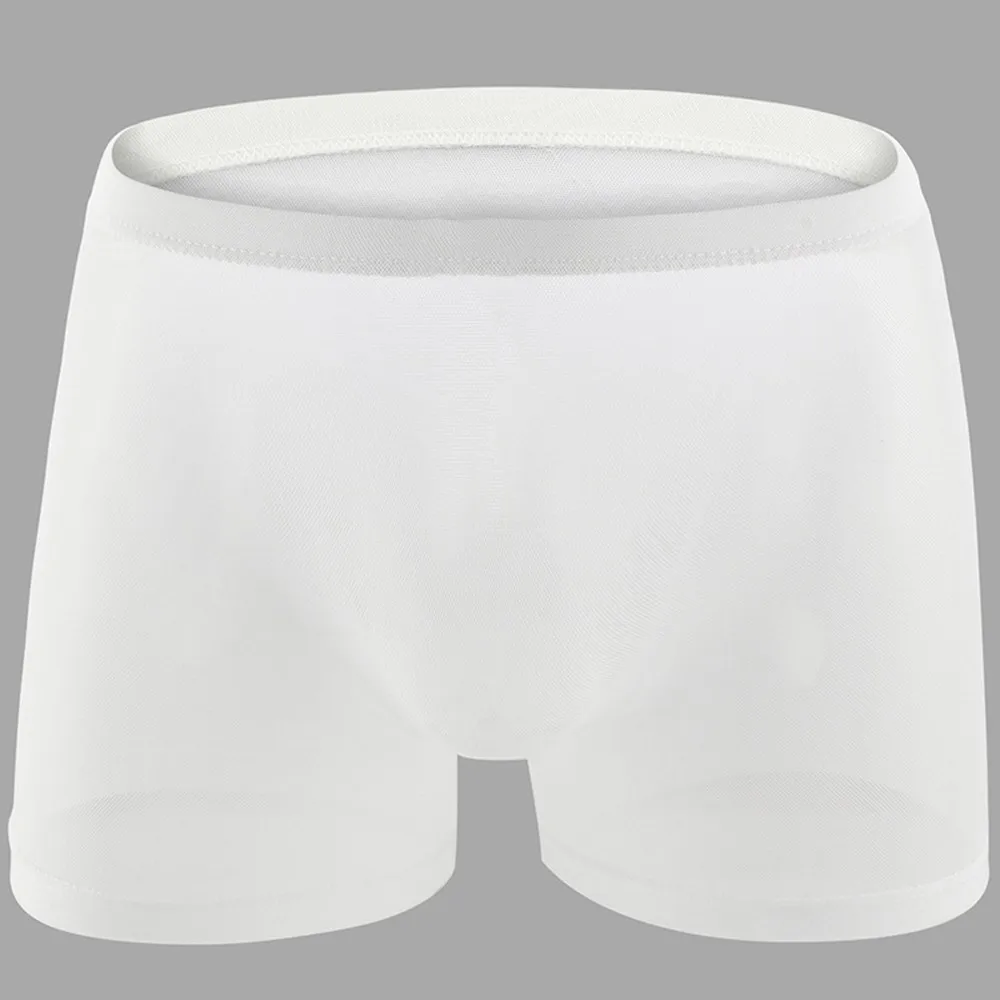 

M-XL Boxer Briefs Underwear Mens Nylon Sheer Pouch Trunks Boxer Shorts Breathable Panties See Through Sale New