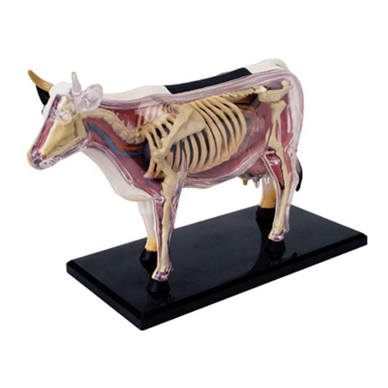 

Новинка, модель животного, бычья модель 4D, интеллектуальная сборная игрушка, обучающая анатомическая модель, Сборная модель бычьей коровы, животное