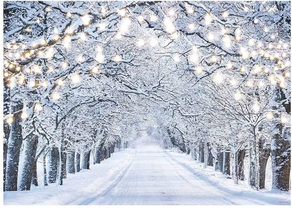 ASDCXZ 10x8ft Winter Wonderland Backdrop Snow Forest Christmas Photography