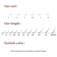 Personnalisation de cils, conception de logo privé, extensions de cils individuelles, OEM&ODM, vente en gros, étiquetage privé, 12/16 rangées 6