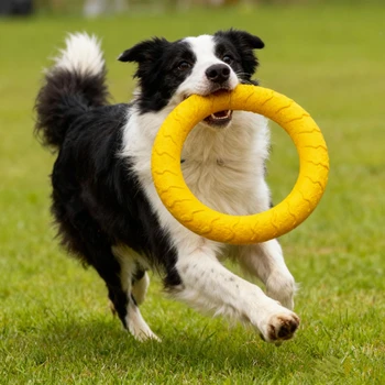 EVA Dog Flying Disc Toy 1