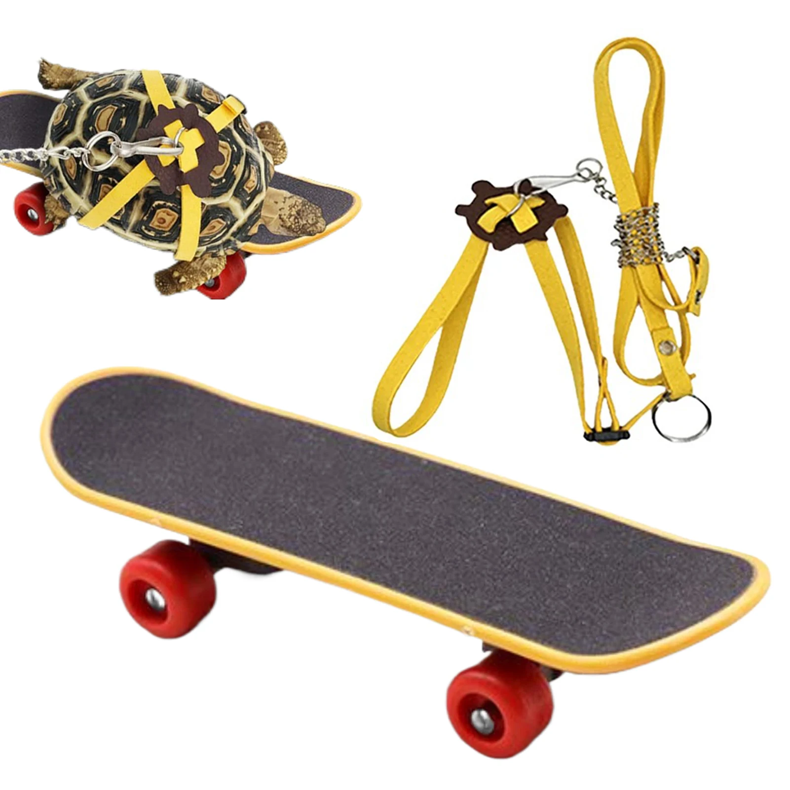 Kit Brinquedos Tartaruga - Mini Skate E Bola Alimentadora Para Pequenos Animais