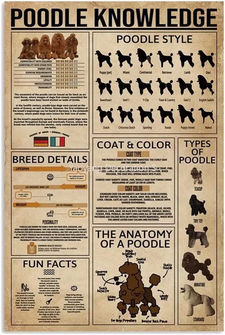 

Poodle Dog Knowledge Tin Sign Poodle Style Printing Metal Poster Bedroom Bathroom School Shop Living Room Kitchen Home