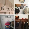 5PCS/Set Coat Hooks Wall Mounted Heavy Duty Dual Coat Rack Bronze Vintage Clothes Hanger With Screws for Door Coat Hook Bathroom 6