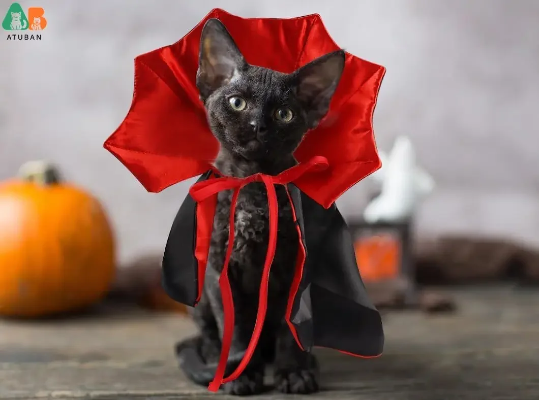 Halloween Cat Vampire Cloak Costume Halloween Adjustable Pet Cape Costume Clothes Pet Accessories Outfit Decor Cowl pet clothes