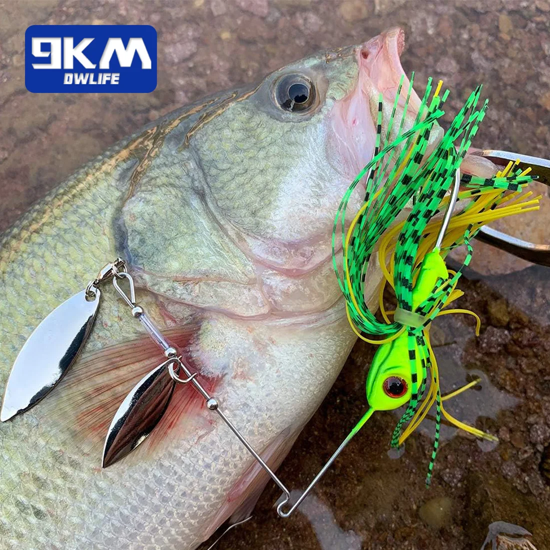 Bass Freshwater Spinner Bait 5