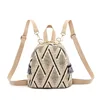 New Women Straw Backpack Rucksack Geometric Tassel Travel Bag Korean Version Girls Student Bags Casual Zipper Softback Backpack 6
