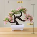 Longxushu pink