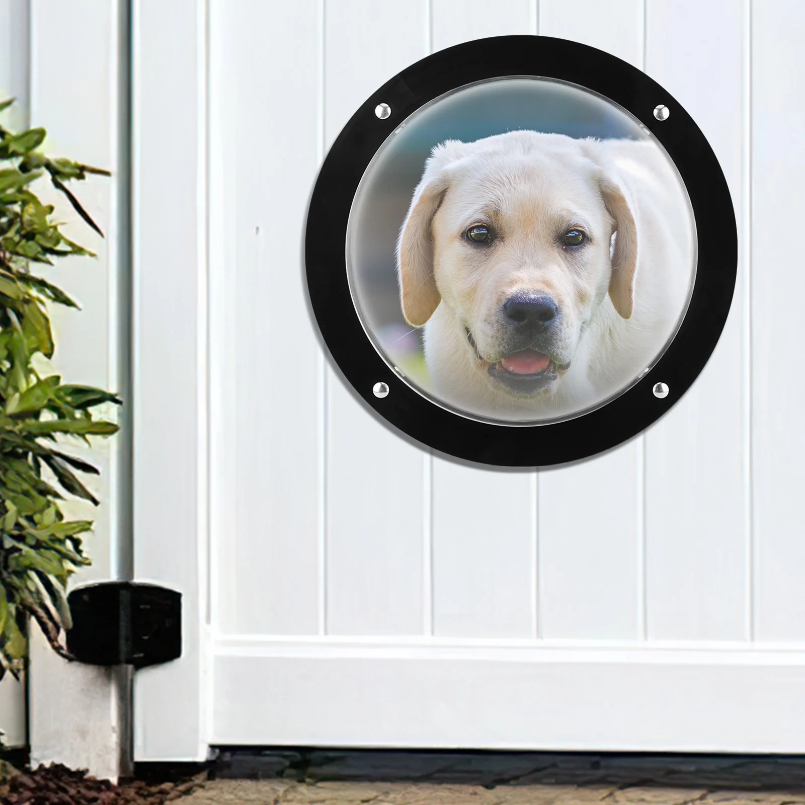 Acrylic Dome Dog Fence Window Clear View Dog Porthole Window Bubble Peek Window for Doggie/Cat/Horse Outside