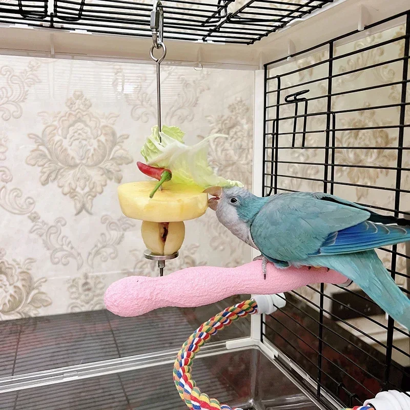 Bird Feeder Parrot Feeder Stainless Steel Pet Parrot Feeder Fruit Corn Fork Toys Chicken Vegetables Holder Hang Cage Feeding Stick Feeder Accessories Brid