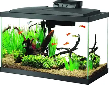 10 Gallon Aquarium Starter Kit 1