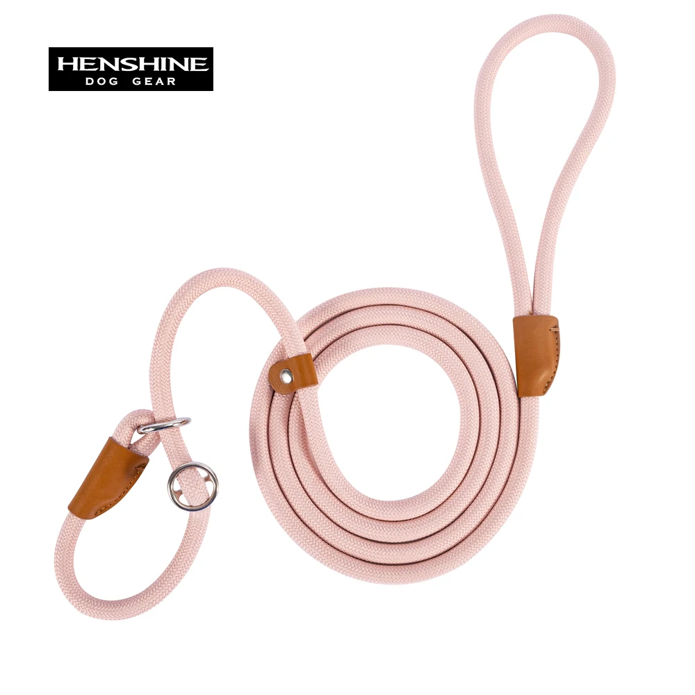 Bequemes langlebiges Nylon-Rutsch seil bestes Hunde leinen halsband verstellbare Gleit verschluss schlaufe mittlere bis große Leine für Hunde haustiere