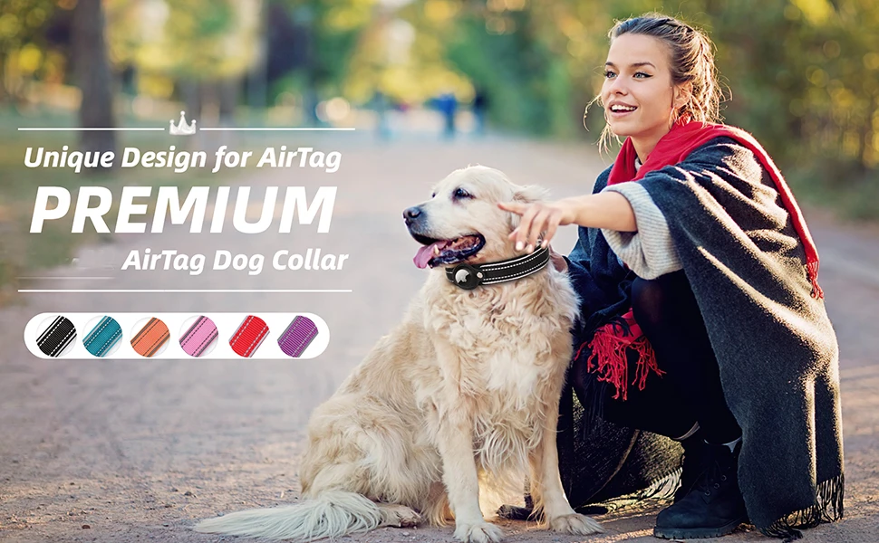 Collier pour chien avec support Apple Airtag intégré