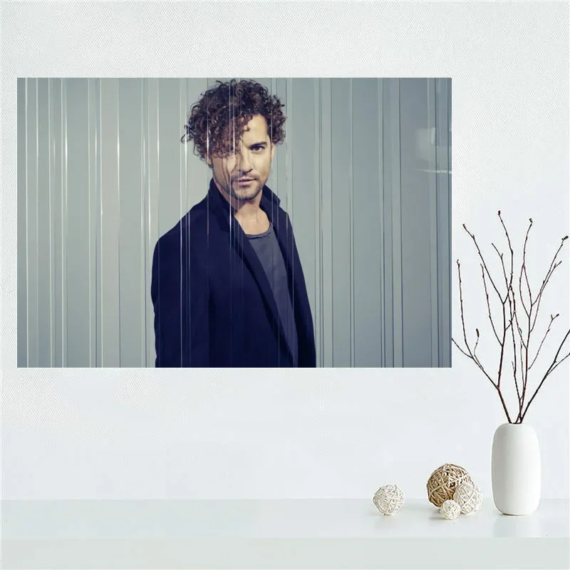 Custom High Quality David Bisbal Canvas Painting Wall Silk Poster Cloth Print DIY Fabric Poster