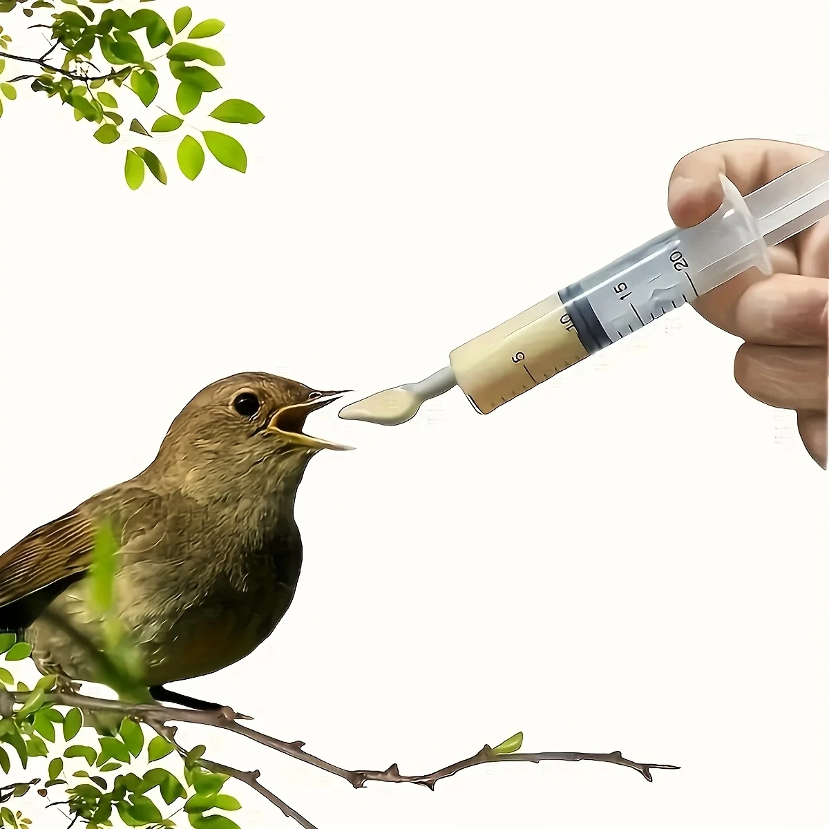 Bird Feeding Syringe Juvenile Parrot Feeding Tube Manual Syringe Birds Kittens other Small Animals bird feeding syringe 9PCS