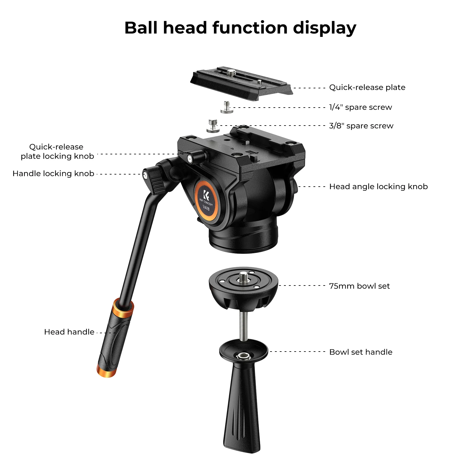 レトロ　カメラと三脚 Amazon.co.jp: カメラ用三脚 カメラ三脚 1.7M スタンド スタジオ