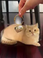 Подвесная коробка для хранения кошачьей шерсти