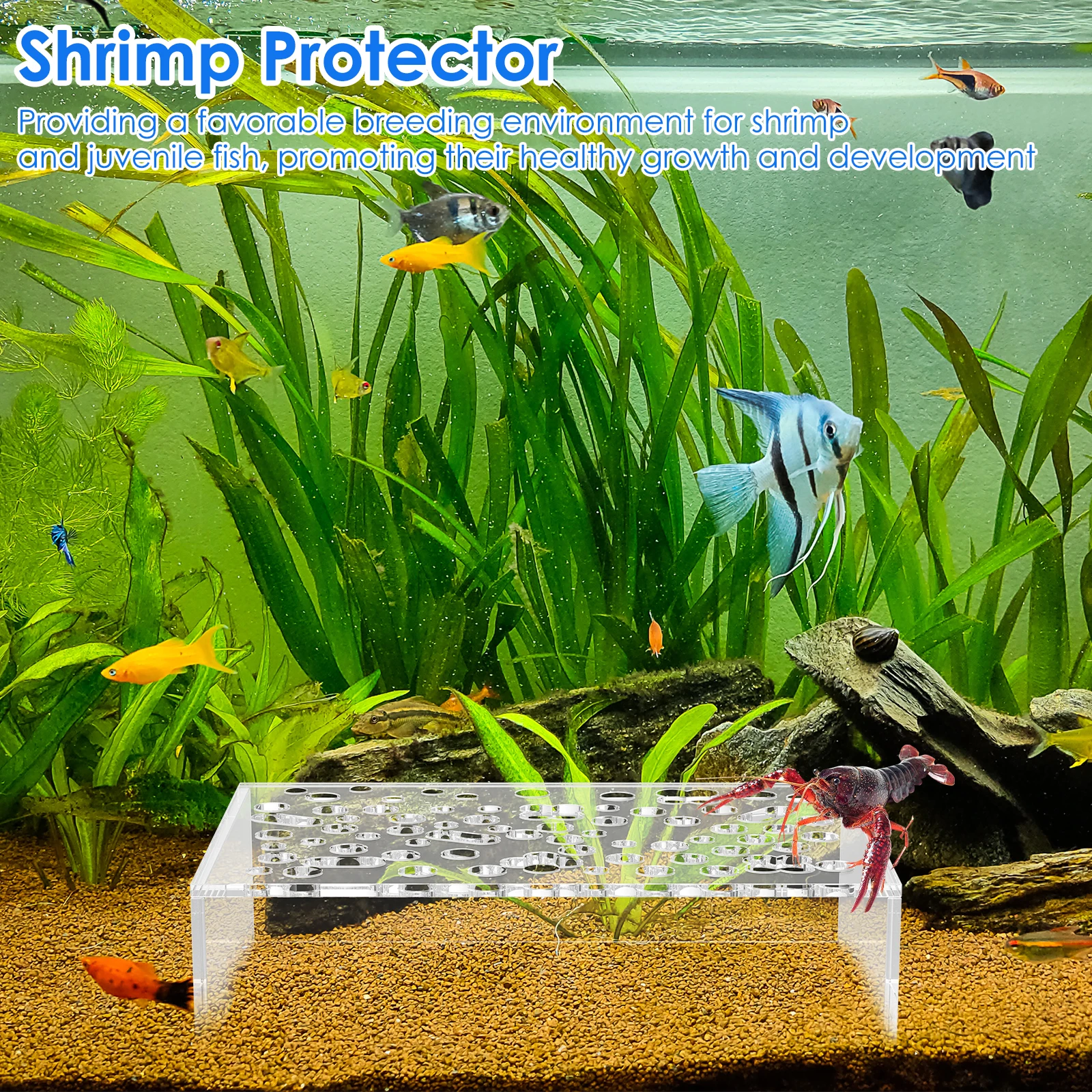 2/4Pcs Shrimp Breeding Cave Transparent Shrimp Tank Tunnel Aquarium Shrimp Hiding Cave Decorations for Fish Tanks Breeding Ponds