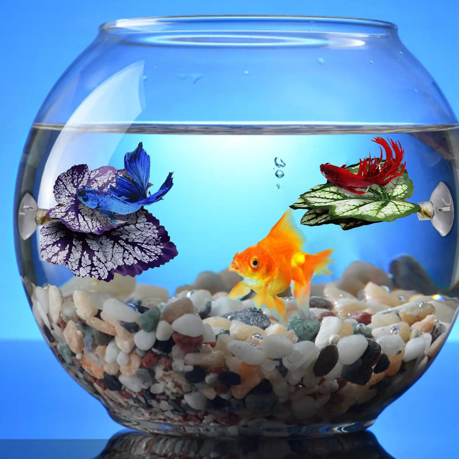 Amaca Per Pesce Betta - Foglia Di Riposo Con Ventosa Per Acquario, Pianta Artificiale