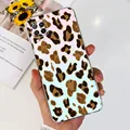 Case-c32