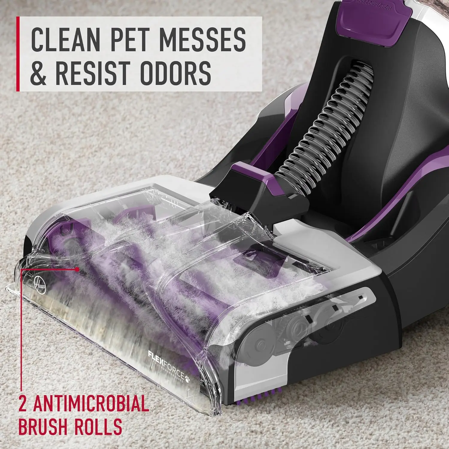 Pet Automatic Carpet Cleaner Machine with Spot Chaser Wand, Deep Cleaning Shampooer, Carpet Deodorizer and Pet 5