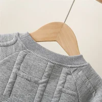 Spring and Autumn New Solid Long Sleeve Baby Top Minimalist Boys' Top Children's Clothing (0-2 Years Old) 4