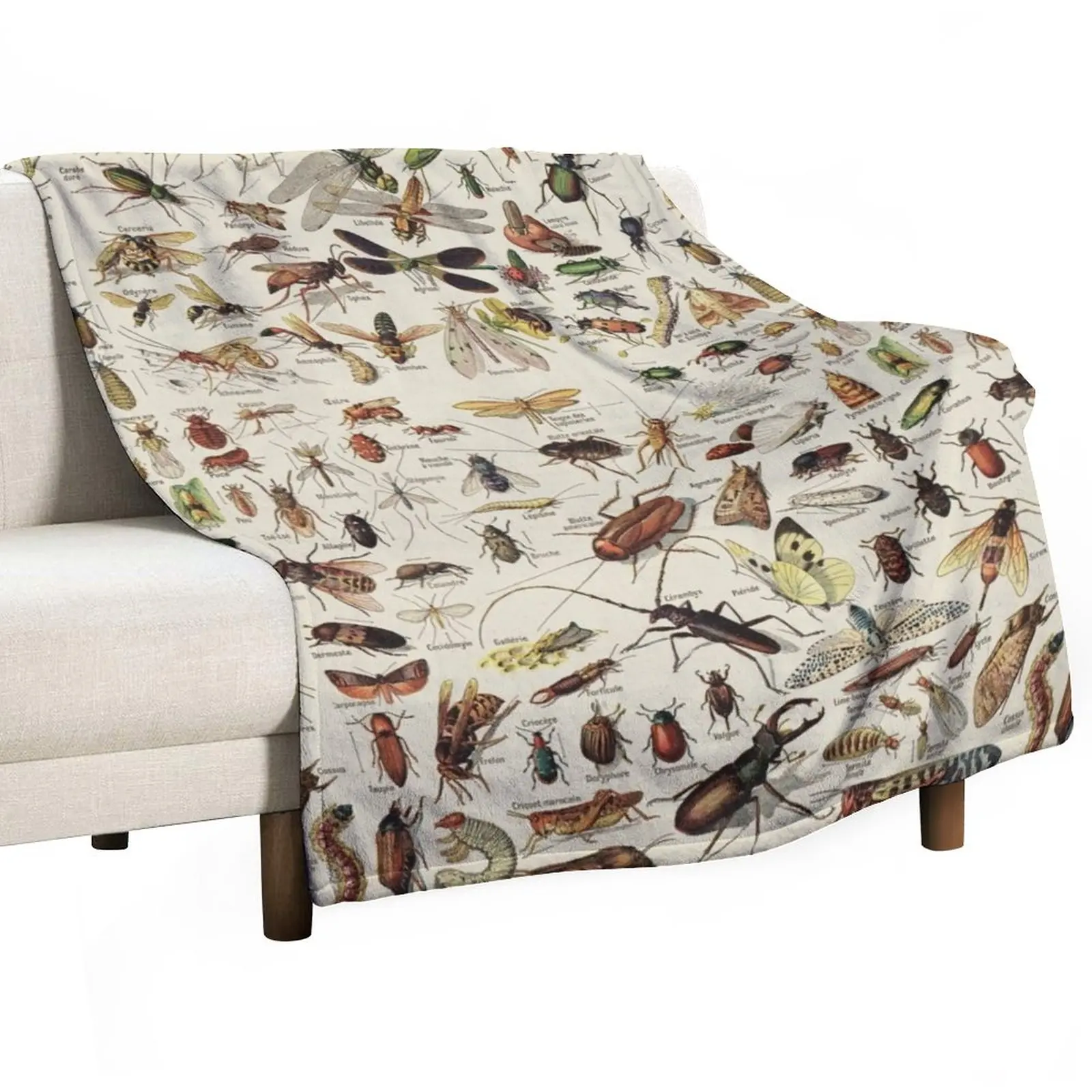 

Insects Chart. Scientific Illustration, text in french Throw Blanket anime halloween For Decorative Sofa Summer Blankets