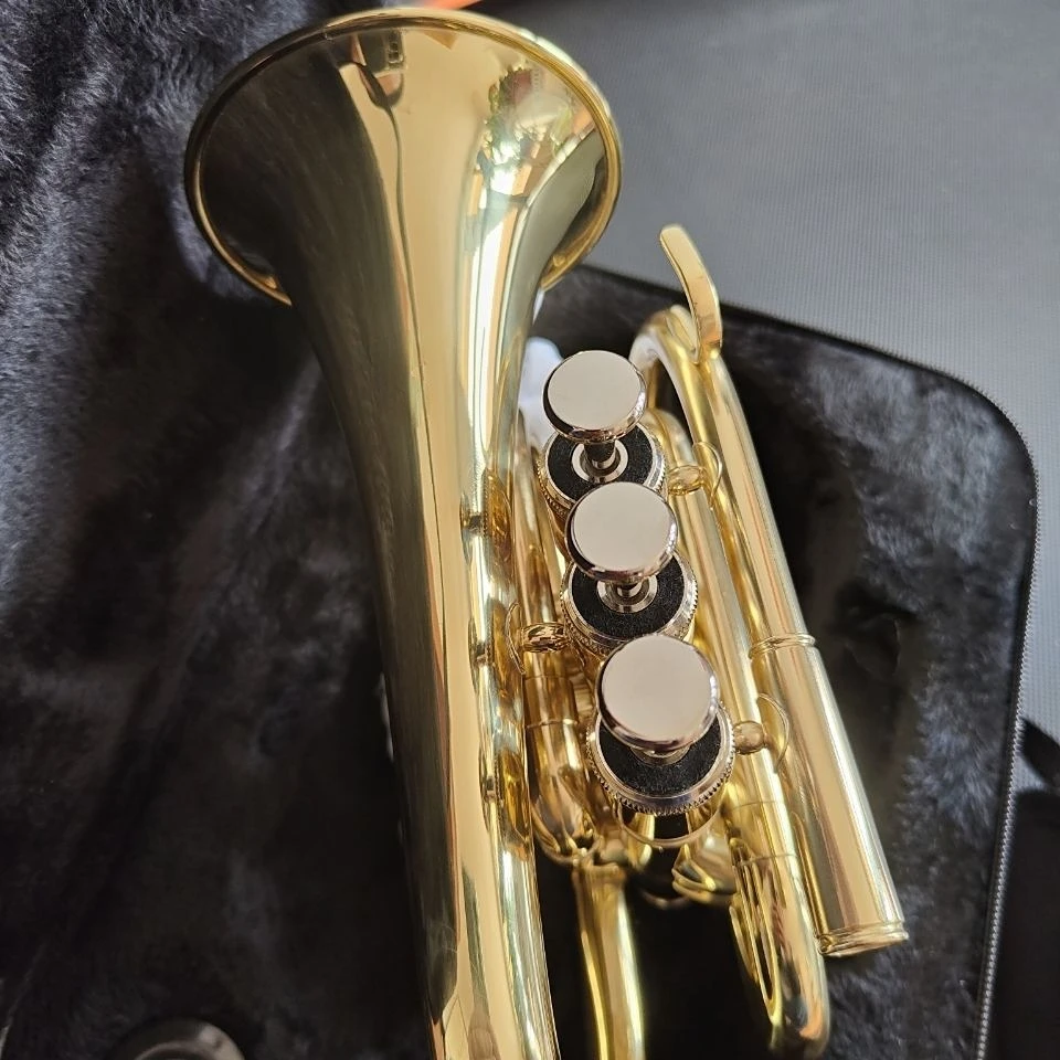 Highquality Tr200 Pocket Trumpet With Btone Down Strong Tone Of Palm