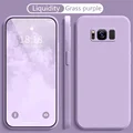 Grass purple