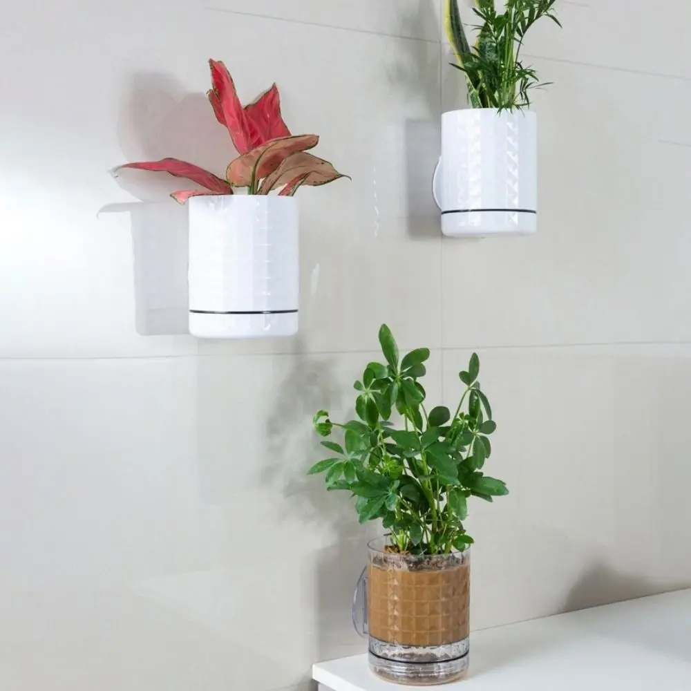 Plastic Hydroponic Wall Planter Self-Adhesive Decorative Hanging Flower Pot Space Saving Double Layer Wall Mounted Planter