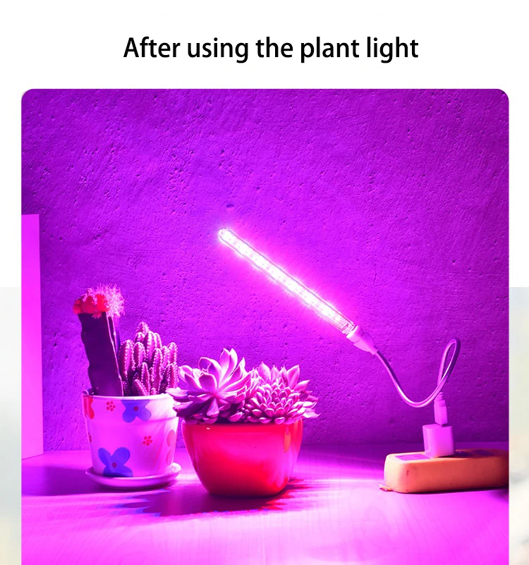 Sbb415f6075804afdab2a70226fe63f9d3