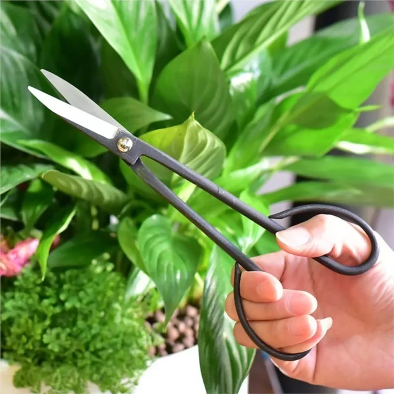 Beginner Bonsai Tool Long Handle Scissors Gardening Plant Branch Shears 20cm Garden Pruning Tools Bonsai Scissors