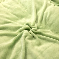 Luxury Crystal Velvet Sheet Flannel Flat Bed Sheet Set Single King Size Bedspread Cover Linen Sheets Warm Bedspread Coverlet 2