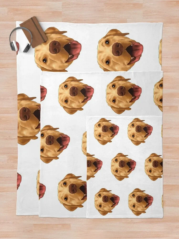 ���ο� �� �ʻ�ȭ ������ ���, ������ ���� �̺�, �ʴ��� ������ ���