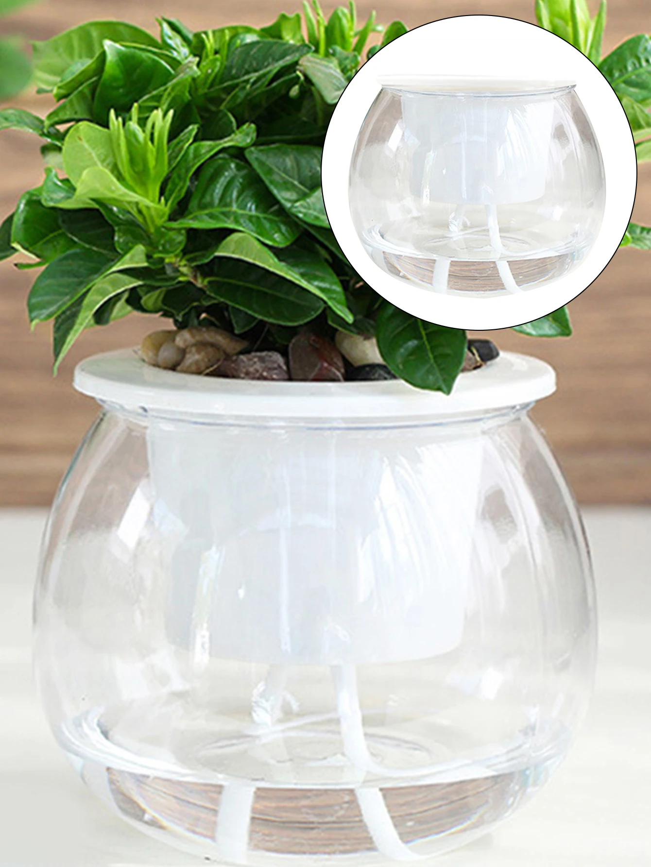 Self-Watering Indoor Planter with Absorbent Cotton Rope