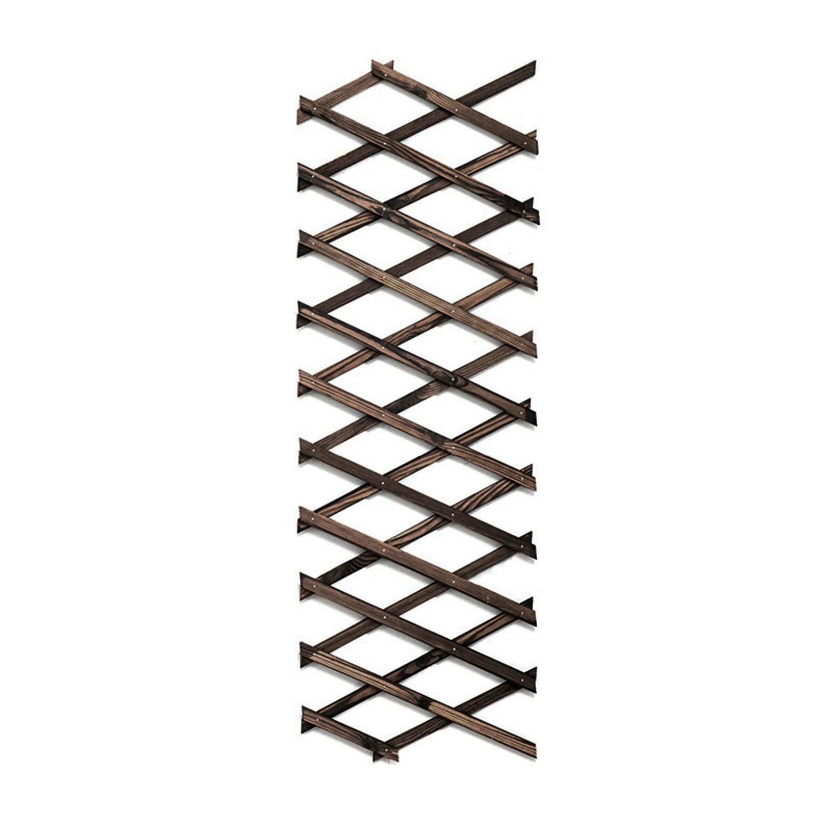 Plant Climb Hanging Frame Trellis Plant Support Fence Indoor Air Vertical Rack Wall Decor Garden