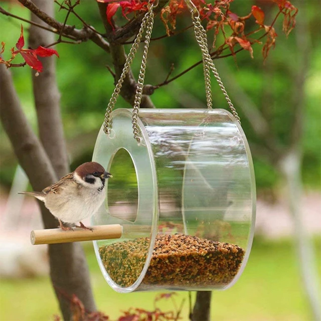 Window Bird Feeder for Outside, Acrylic Transparent Suction CupMounted  Birdhouse Food Feeding Tool, Bird Accessories - AliExpress
