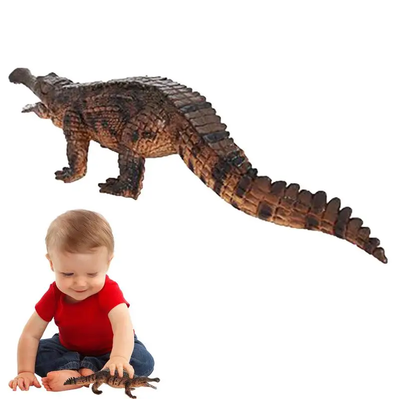 

Simulated Model Alligator Figurines Creative Static Ornaments Science Educational Props Children's Cognitive Simulation Wild
