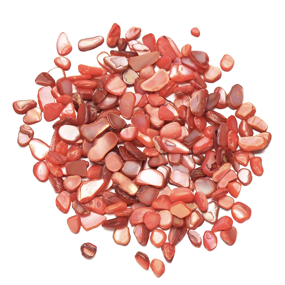 20g 50g gemischte Muschelfragmente zerkleinerte Steine ungebohrt unregelmäßig geformte Steine für DIY Schmuck Harz Formenbau Zubehör – Detail 7
