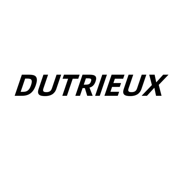 DUTRIEUX Automotive Modification Parts Store