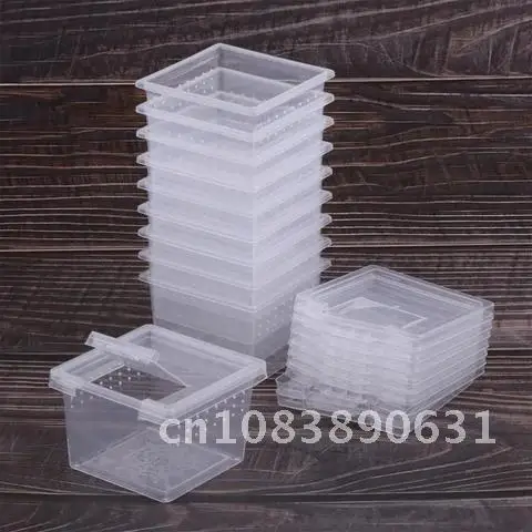 Acrylic Reptile Cage Hatching Container Rearing Tank for Lizards Terrarium Tortoise Spider Beetle Insect House 1pcs Feeding Box