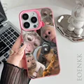 Pink DQMYCYT29